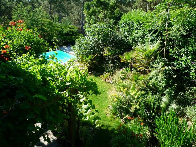 jardin exotique dans maison a louer a lacanau 33